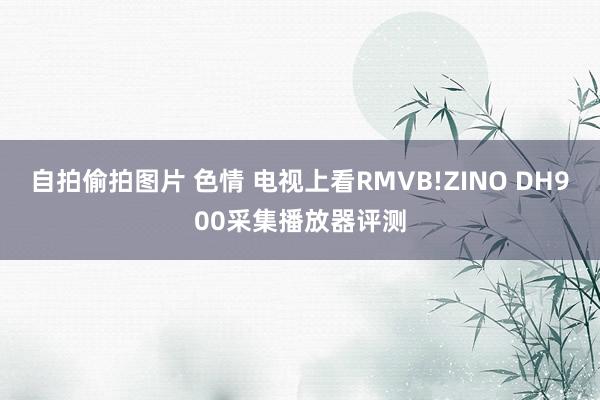 自拍偷拍图片 色情 电视上看RMVB!ZINO DH900采集播放器评测