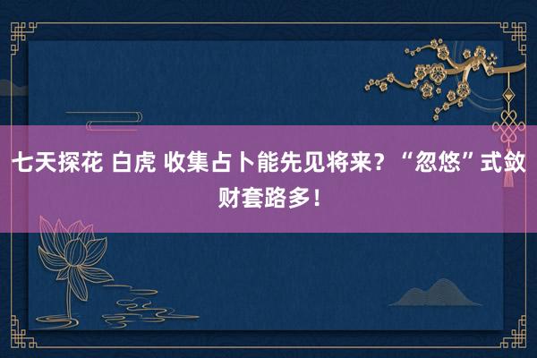 七天探花 白虎 收集占卜能先见将来？“忽悠”式敛财套路多！